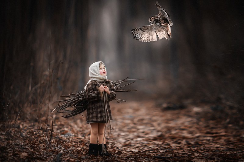 12 месяцевphoto preview