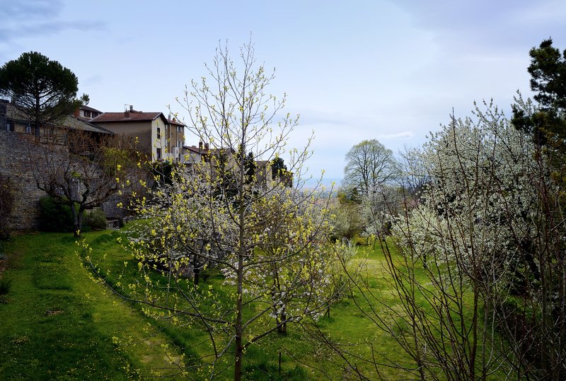 france, lyon transparencyphoto preview