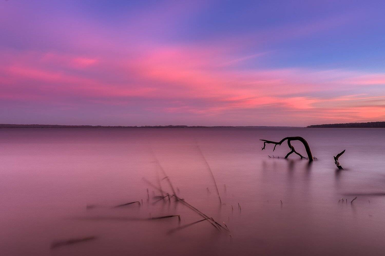 , Федотов Антон