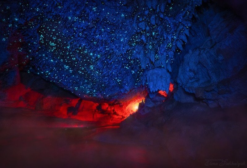 новая зеландия,пещеры,светлячки,вайтомо,пейзаж,фототур,путешествие Пещерная поднебеснаяphoto preview