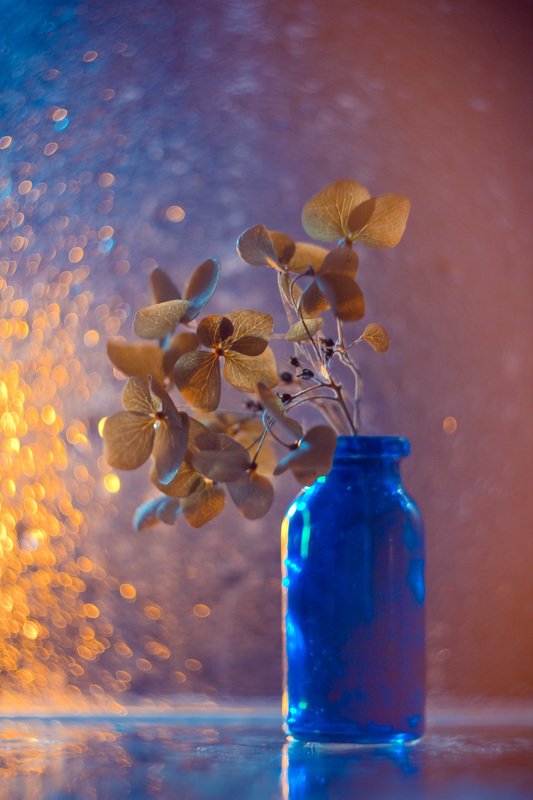 натюрморт, боке, прозрачный, закат, солнце, бутылка, стакан, стекло, красивый, гортензия, цветок, блики, still life Вечерняя гортензияphoto preview