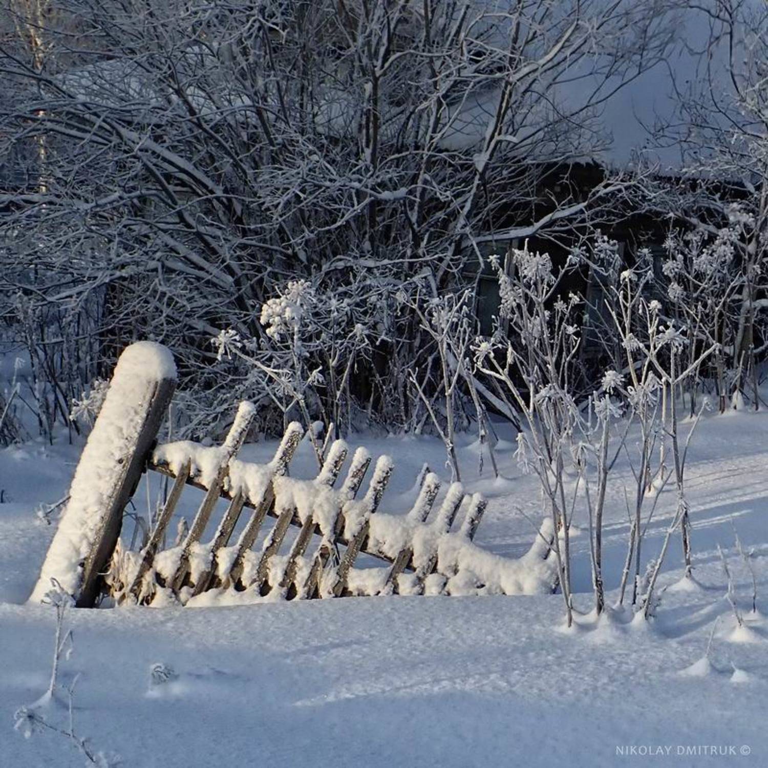 гребешок. Холмогоры. 2020. Автор: николай дмитрук пейзаж, николай дмитрук