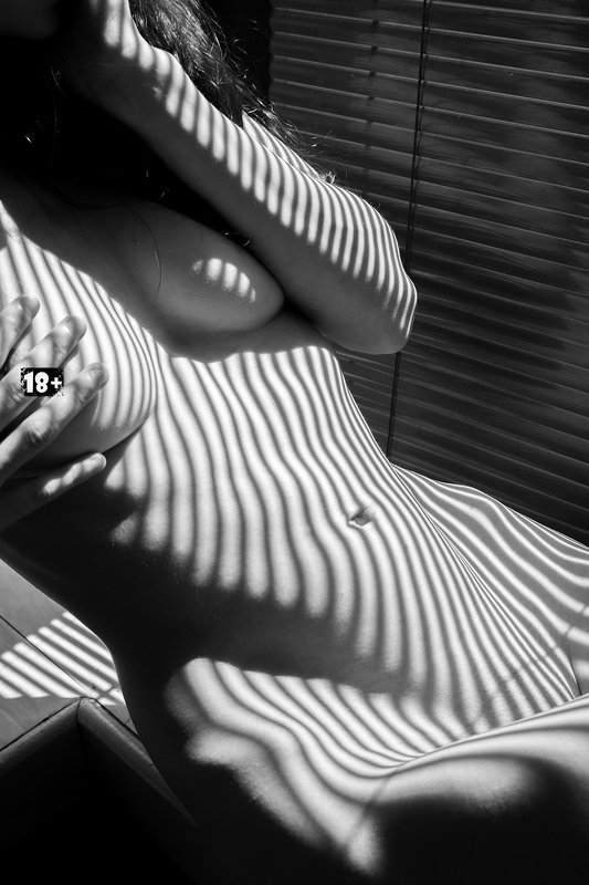 nude,model,woman,sexy,erotic,blackandwhite,bw,naked,daylight, Stripesphoto preview