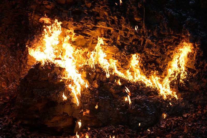 огонь, костер, пламя, портрет, лес Пламенная серияphoto preview