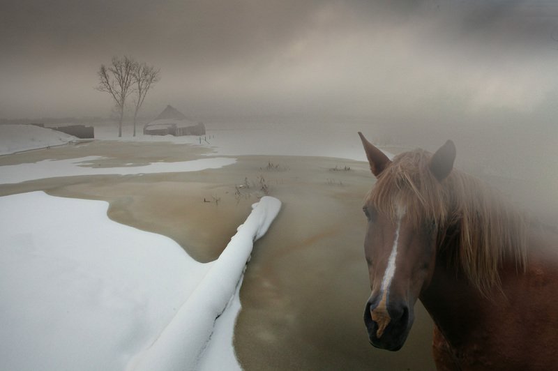 Куда уходит детство....photo preview