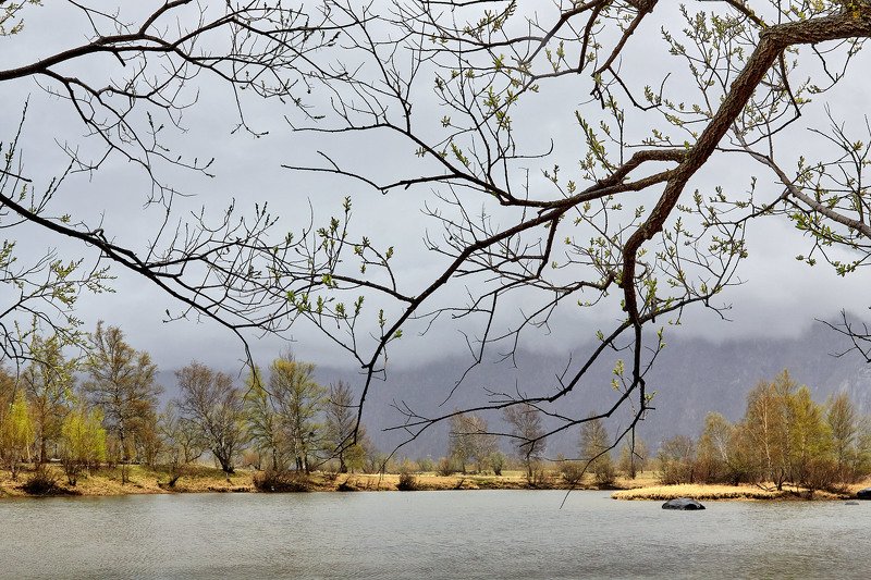 алтай, ледник актру, актру, алтайский край, долина, весна,осень, лиственницы, ледник,ледники Весна на Алтае!photo preview