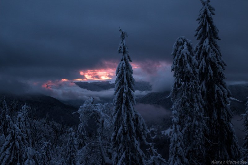 свидовецкий хребет, карпаты, украина, сумери, ели Наступит тьма!photo preview