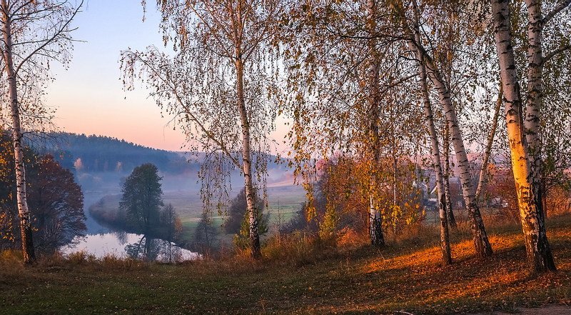 У осени в пленуphoto preview