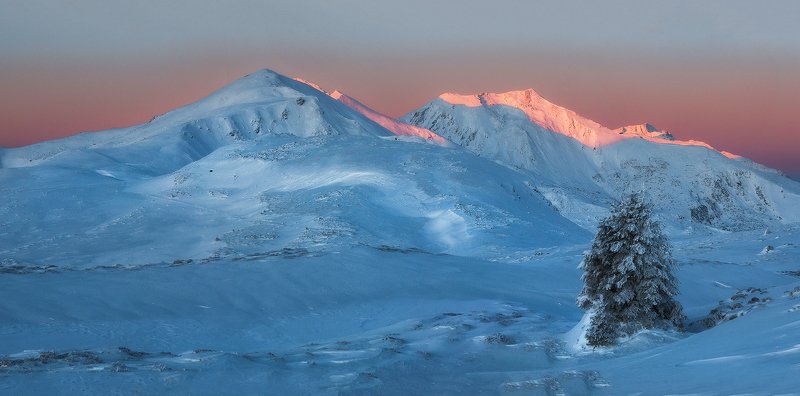 Dayspringphoto preview