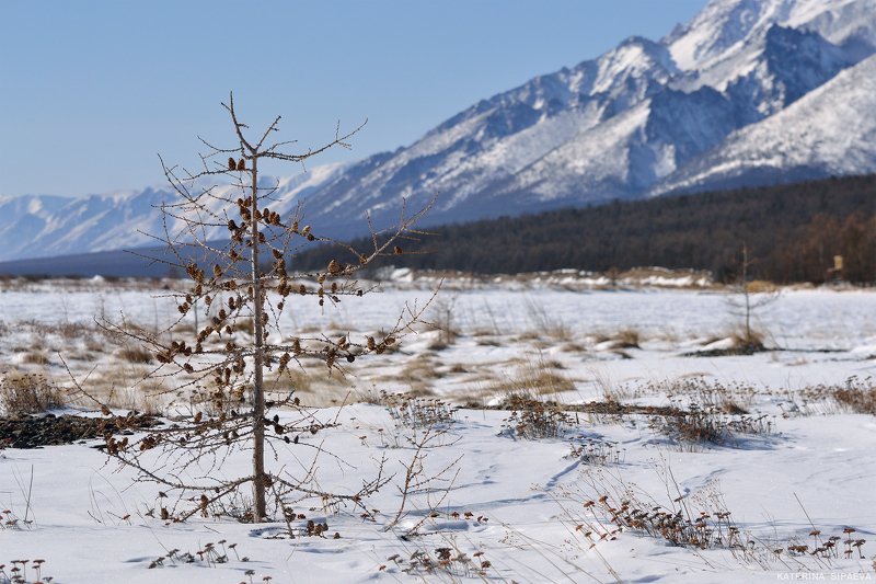 байкал, природа, пейзаж, сибирь ***photo preview