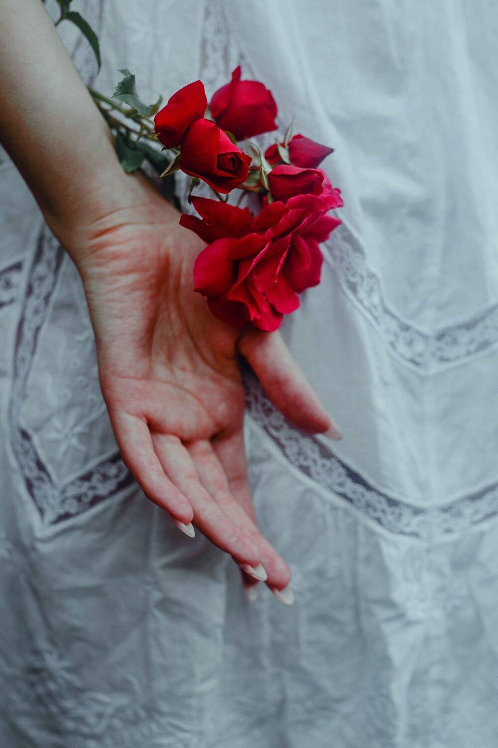 рука и роза. Автор: Marie Dashkova рука цветок, Marie Dashkova