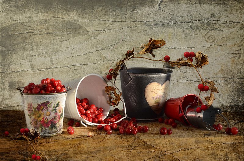 Натюрморт клюква деревянный стол В лесной сторожке photo preview