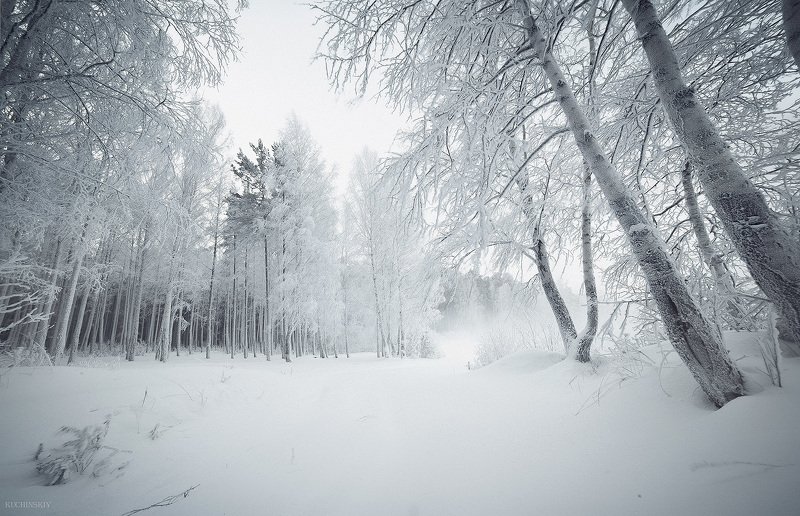 Белая мглаphoto preview