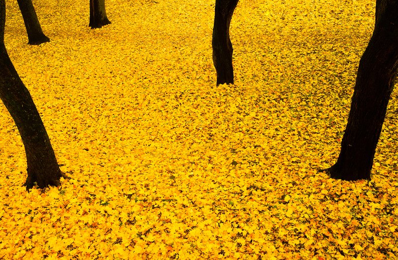 impression, autumn, color Impressionphoto preview