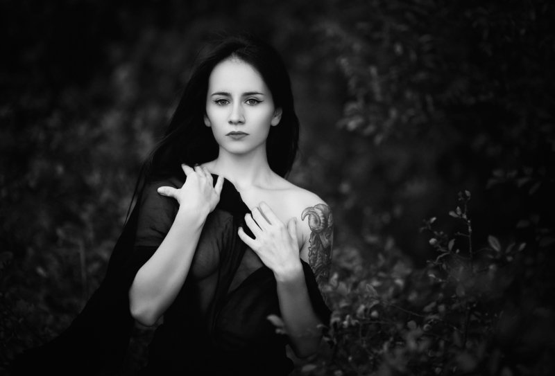 Gerganaphoto preview