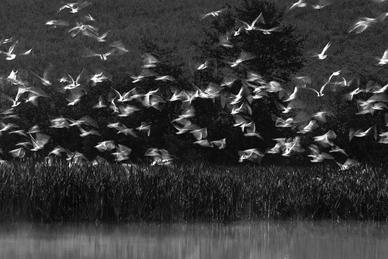 I walk around Warmiaphoto preview