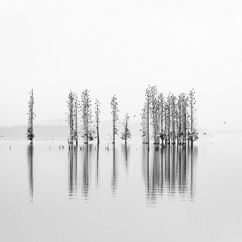 Cloud lakephoto preview