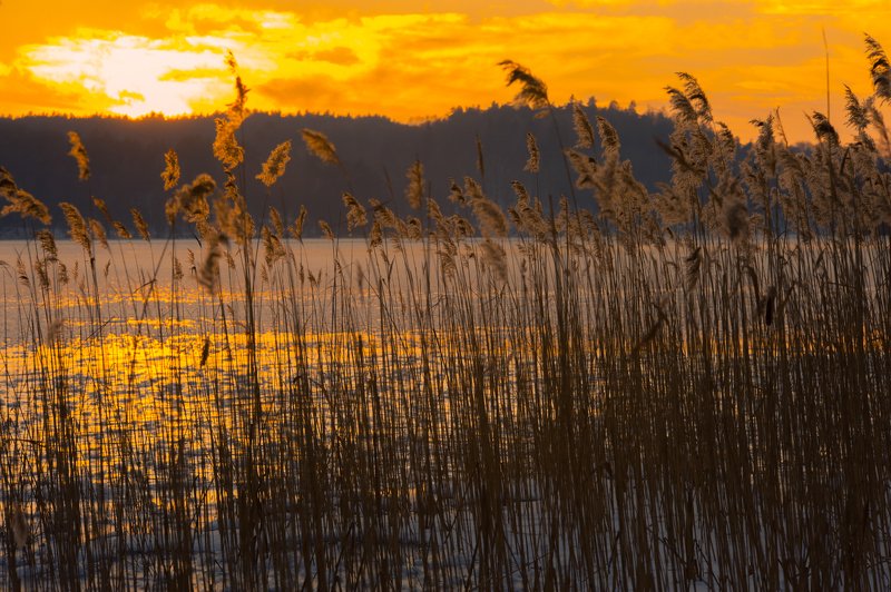 I walk around Warmiaphoto preview