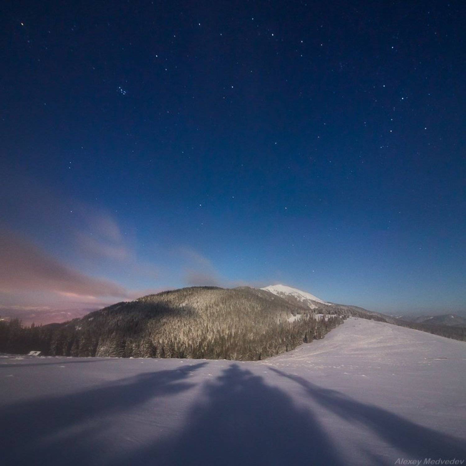 карпаты, украина, горганы, синяк, полонина хом'яків, Алексей Медведев