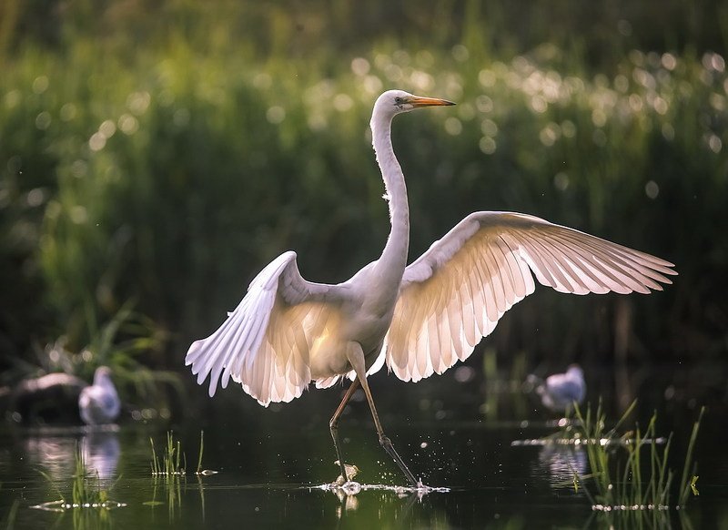 А я иду такая вся...photo preview