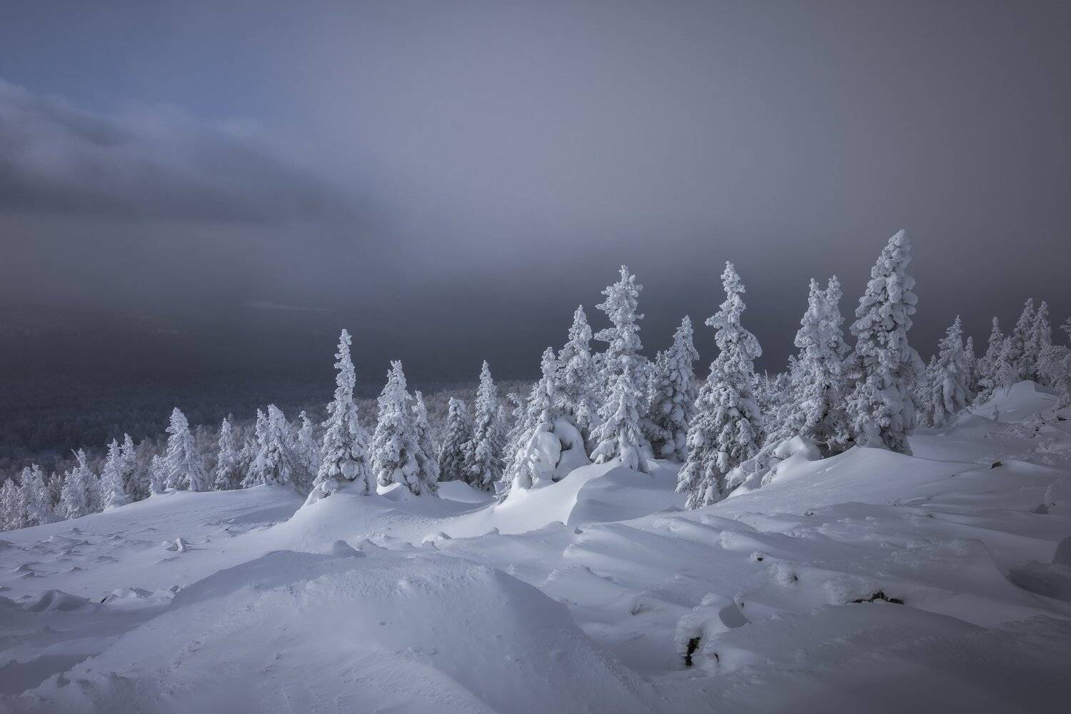 *******. Автор: Андрей Шарапов , Андрей Шарапов