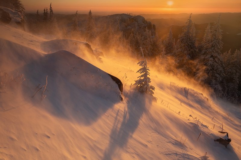 winter, trees, blizzard, snow, landscape, travel, nature, mountain, romania, cold, sunrise Golden Blizzardphoto preview