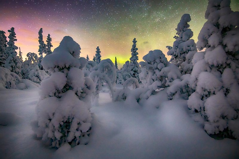 Морозной ночьюphoto preview