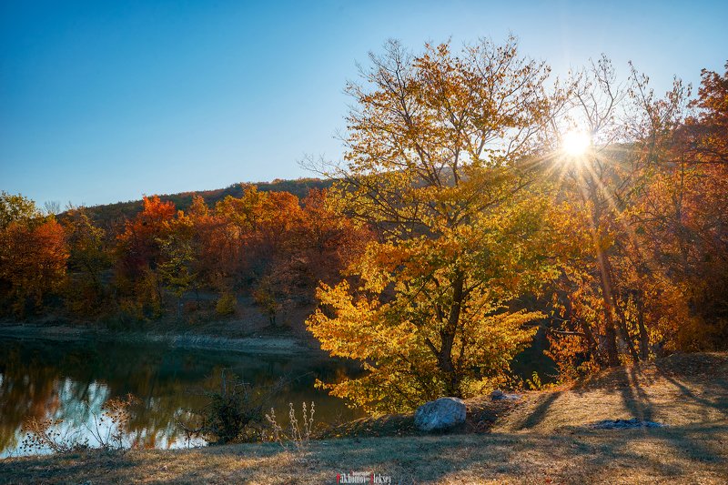 morning, autumn, forest, river, color, landscape, nature, outdoor, утро, рассвет, осень, цвет, пейзаж, природа, река, вода, water, gold, orange Autumnphoto preview