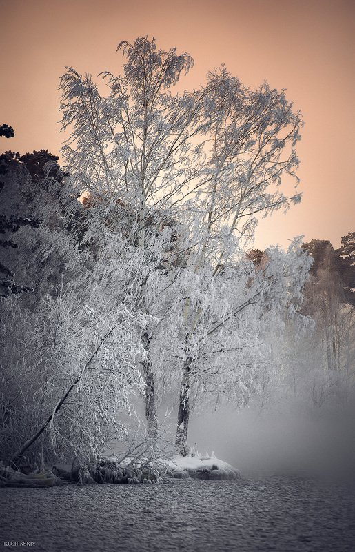 Белая мглаphoto preview