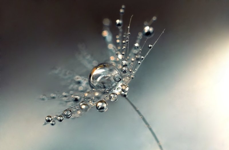 макро, капли, вода, волшебство, макро мир, макрофотография, россия, галактика Галактическая невесомостьphoto preview