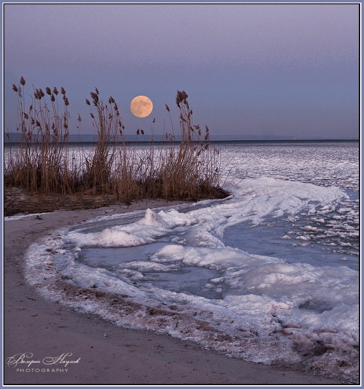 вечер, зима, полнолуние Вечер полной Луныphoto preview