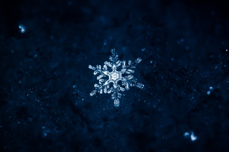 макро, снежинки, вега-11у, зима, кристаллы, снег, ночь, snowflake, ice, macro Снежинок сугубое сонмищеphoto preview