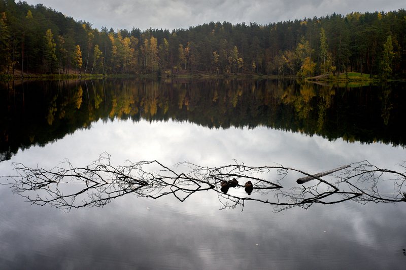 семиозерье, озеро, осень, утки photo preview