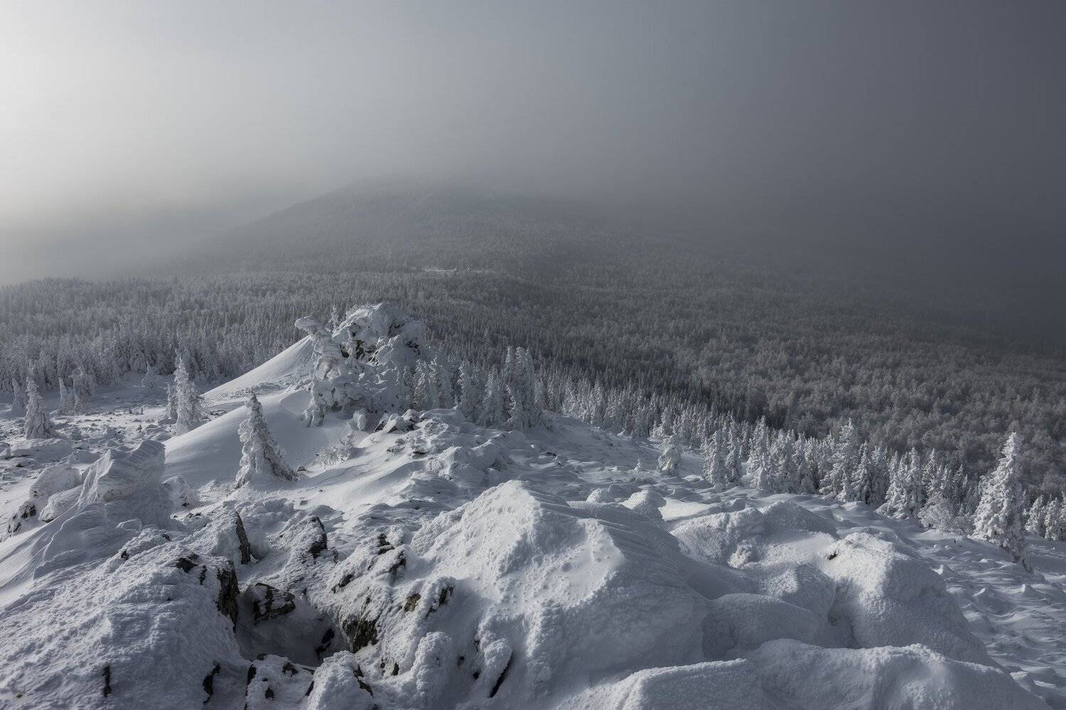 *******. Автор: Андрей Шарапов , Андрей Шарапов
