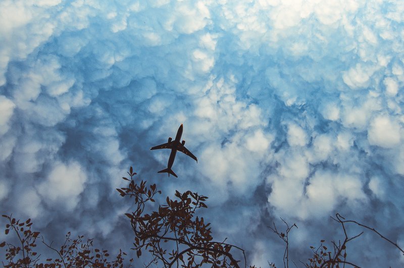 небо, самолёт, облака, полёт photo preview