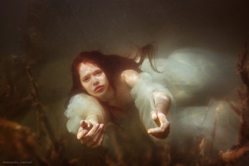 mermaid. under the water mermaidphoto preview