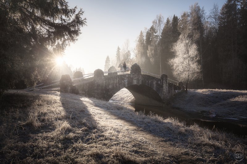 павловск, заморозки, зима Первые заморозки в Павловскеphoto preview