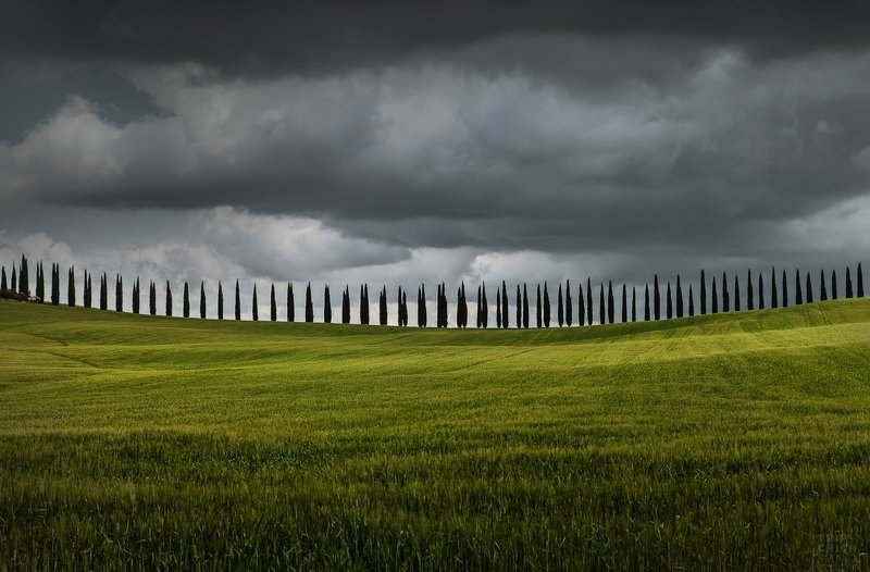 italia, nature, travel, tuscany, italy Tuscanyphoto preview