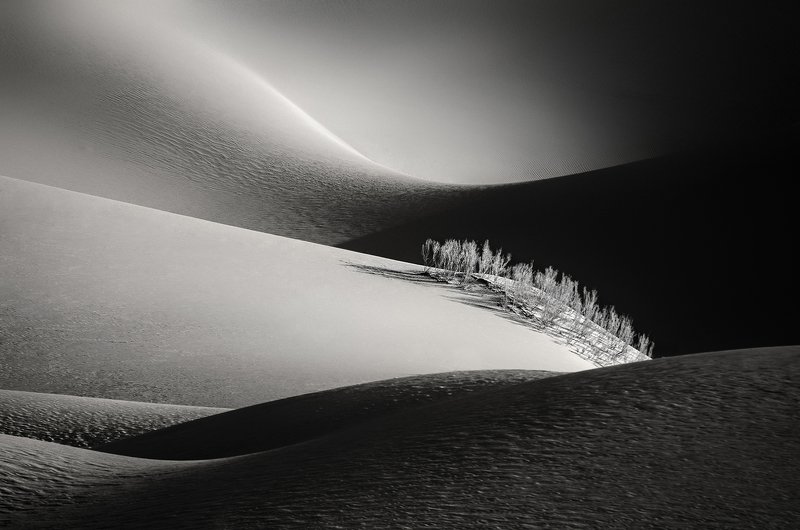 desert,landscape,black and white,neture,abstraction,conceptual Desertphoto preview