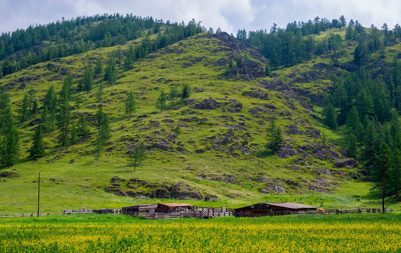 berendey Алтайphoto preview