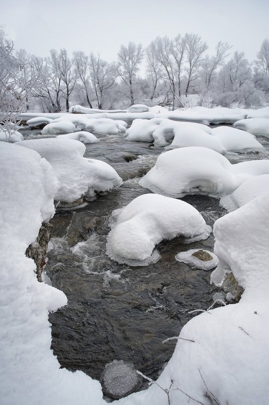 пейзаж,зима,дерево,иней снег,сугроб,река,мороз Зимний день 5 фото превью