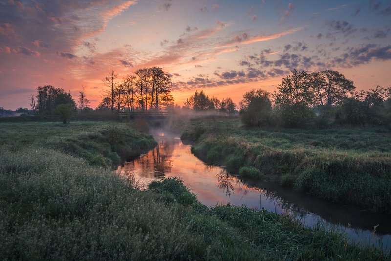 river, water, sunrise, bridge, spring, clouds, morning, landscape, nature, tree Riverphoto preview