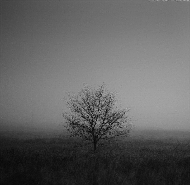 Одиночество...photo preview