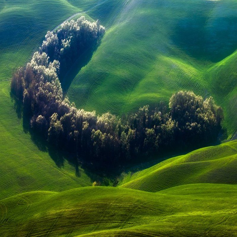 Smile ...photo preview