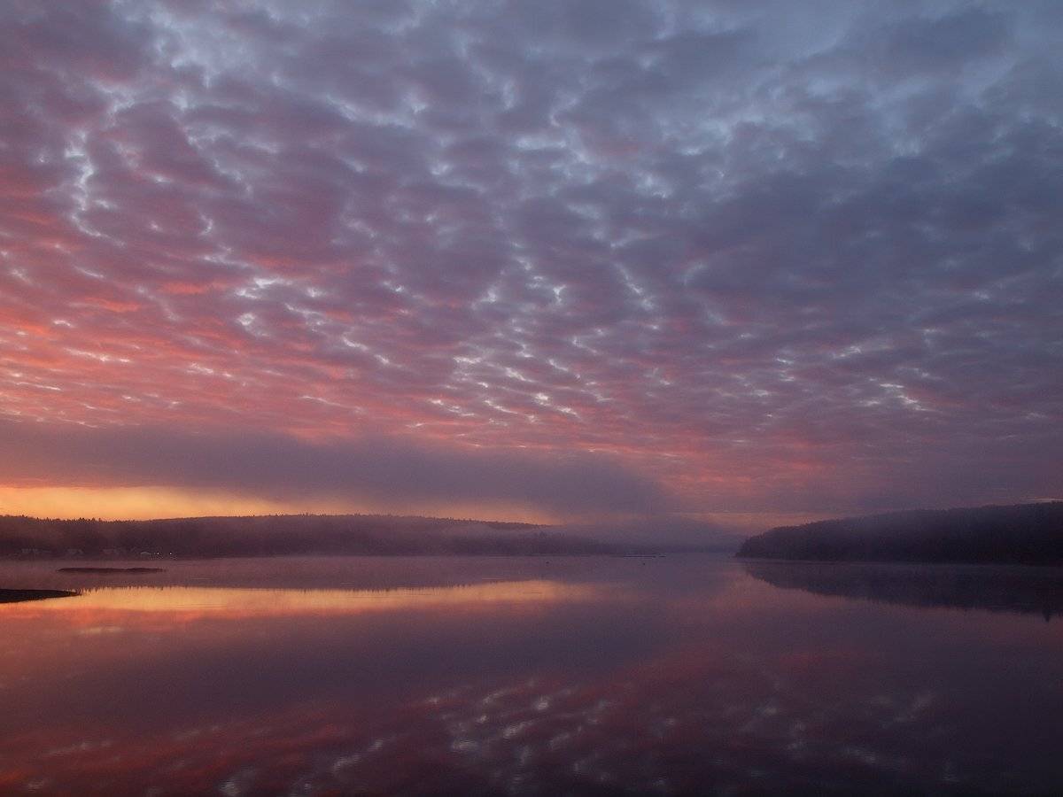 , Владимир Перепечаев