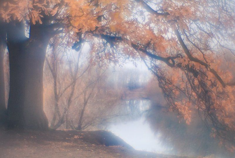 Ноябрьphoto preview