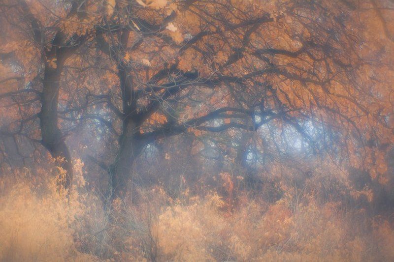 Ноябрьphoto preview