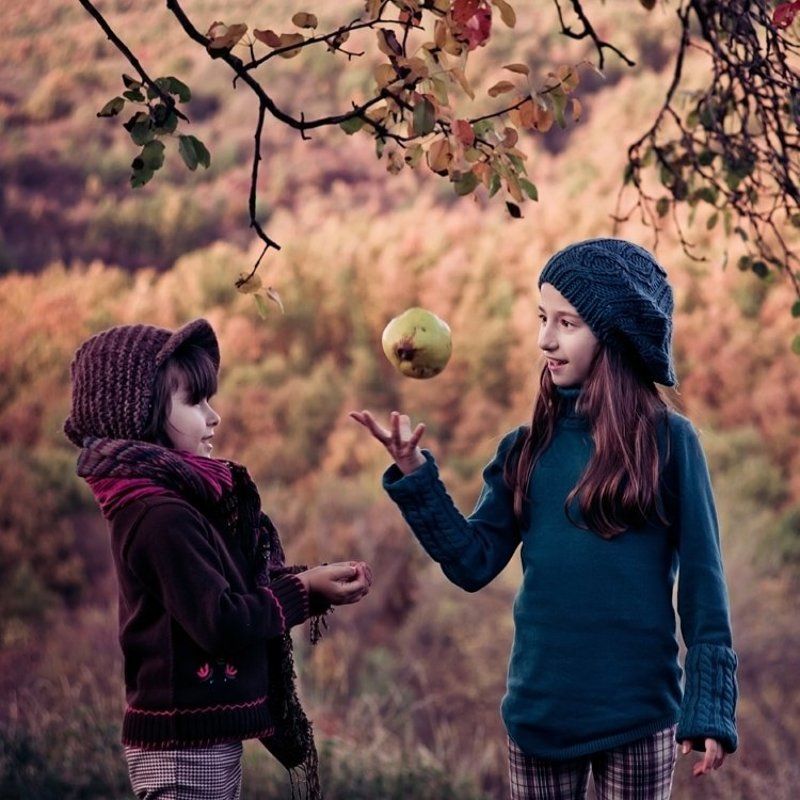 Сказки про Ньютонаphoto preview