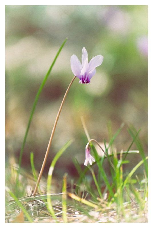 Опять двойкаphoto preview