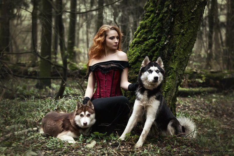 Другие Сумерки...photo preview